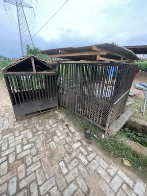 Strong Iron Kennels