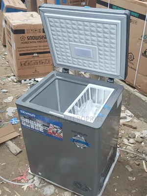 100L Skyrun Deep Freezer