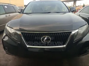 Lexus RX 2011 Gray