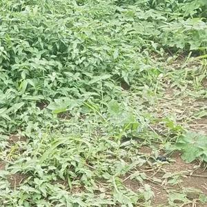 Land for Sale at VGC