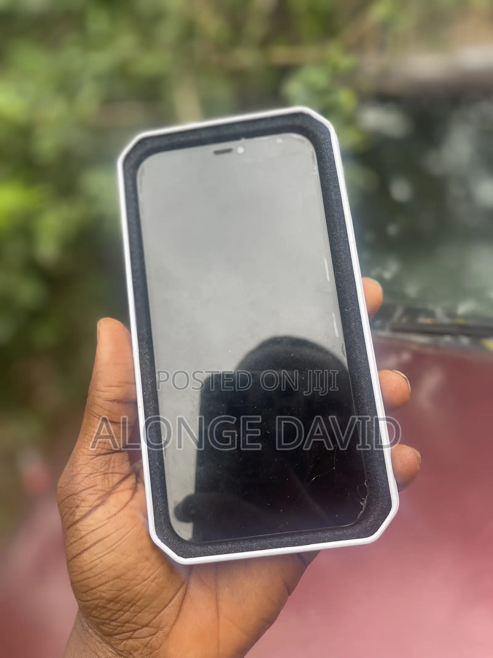 iPhone 12 Pro Max Screen