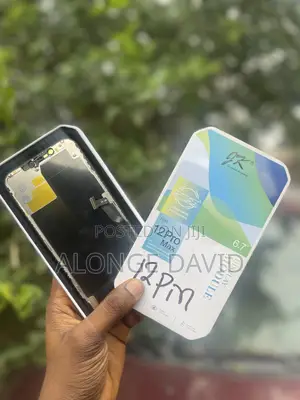 iPhone 12 Pro Max Screen