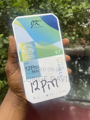 iPhone 12 Pro Max Screen