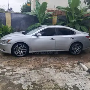 Nissan Maxima 2010 Silver