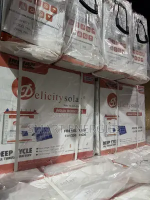 DelicitySolar 12v 250Ah Tall Tubular Solar Battery
