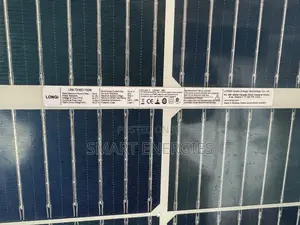 710watts Longi Bifacial Solar Panel