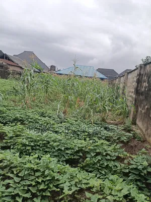 Full Plot With 4 Shops and Fenced Round at Igbopa London Ikorodu 18m