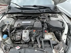Honda Accord 2015 White
