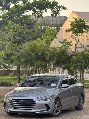 Hyundai Elantra 2017 Gray