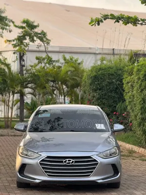 Hyundai Elantra 2017 Gray