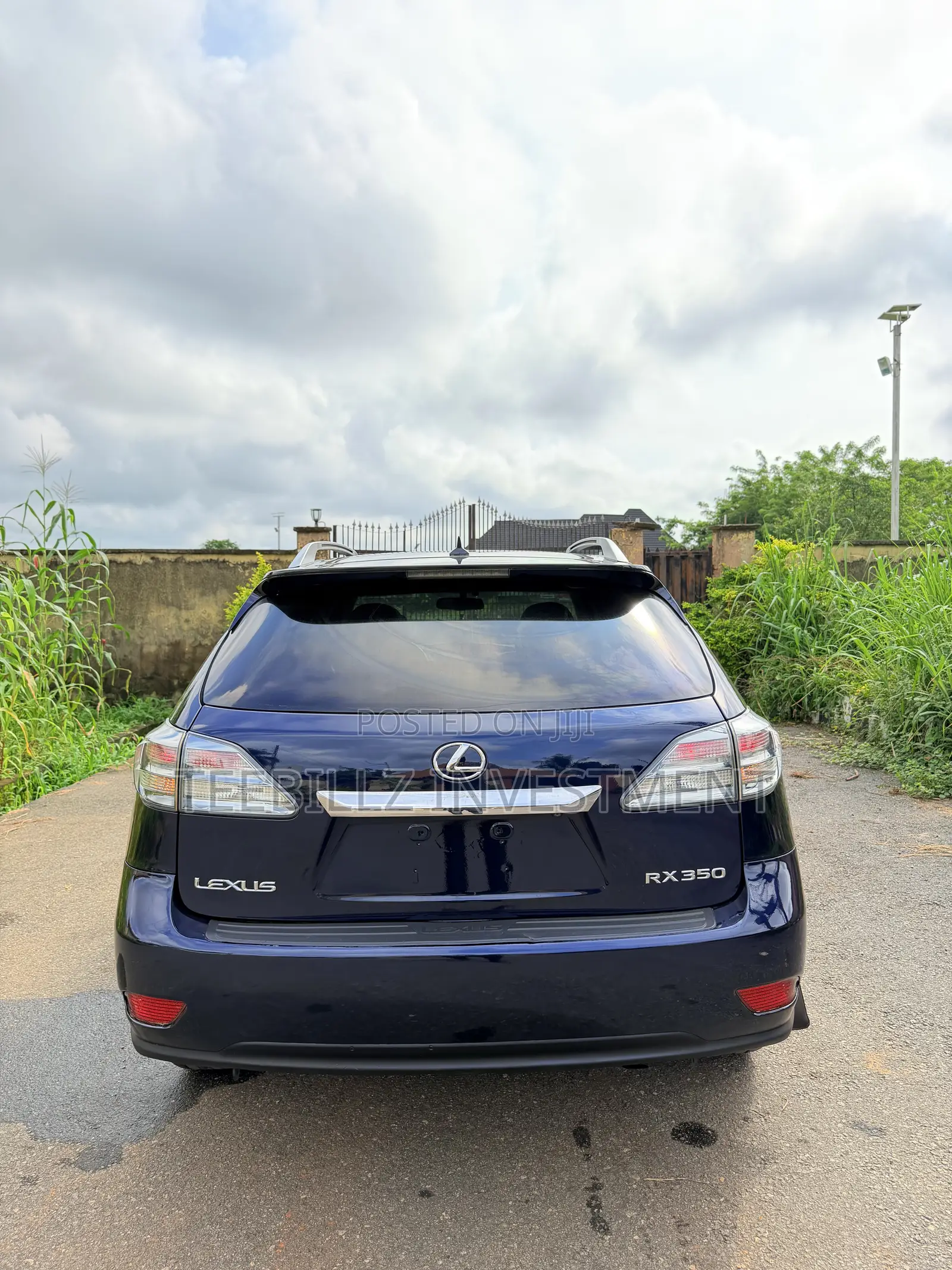 Lexus RX 350 2010 Blue