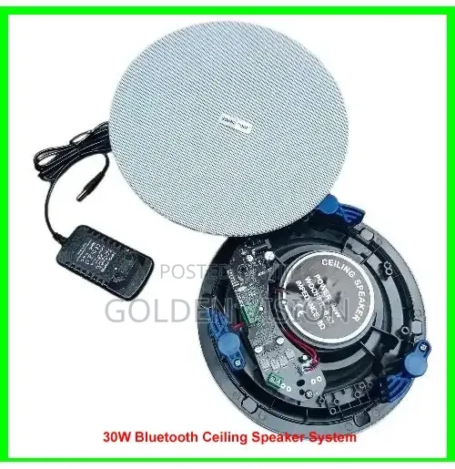 30W Bluetooth Ceiling Speaker System