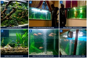 Zoma Aquarium for Design, Construction of Large Custom Aquariums .