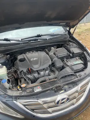 Hyundai Sonata 2010 Blue