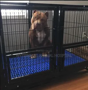 Dog Cage for Big Dogs
