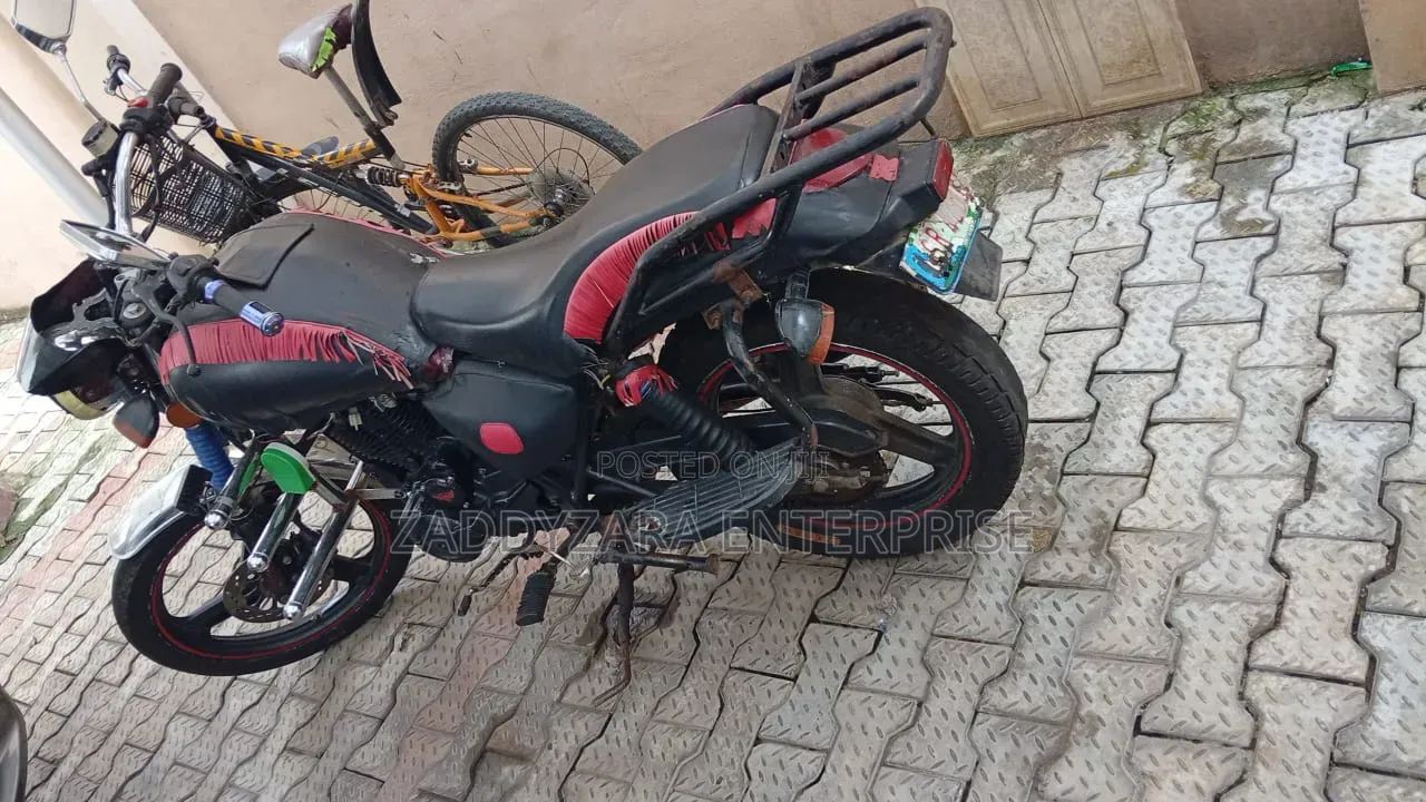 Denstar Taurus 2024 Red