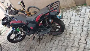 Denstar Taurus 2024 Red