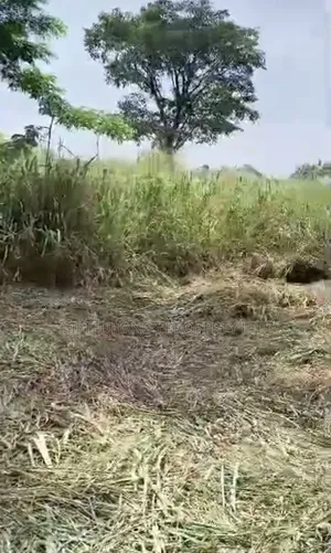 2100 SQM of Land for Sale at Sunrise Estates Opposite New Orie Emene