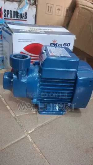 Pedrollo Surface Pump