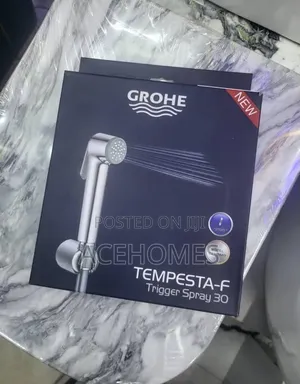 Bidet / Bum Bum Wash Grohe