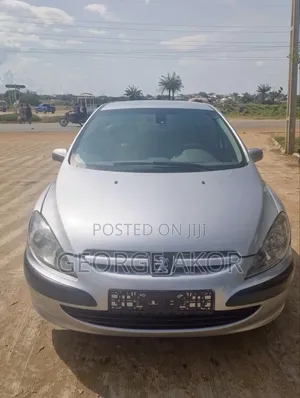 Peugeot 307 2005 Silver