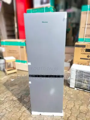 Hisense Standing Double Door Refrigerator