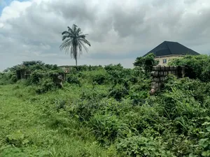 The Land Is More Than a Plot of Land Situated in Orji Near Imsu