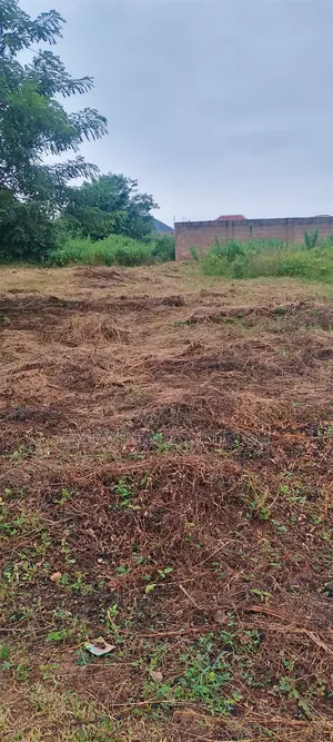2 Plot of Land for Sale at Iyana Ajia
