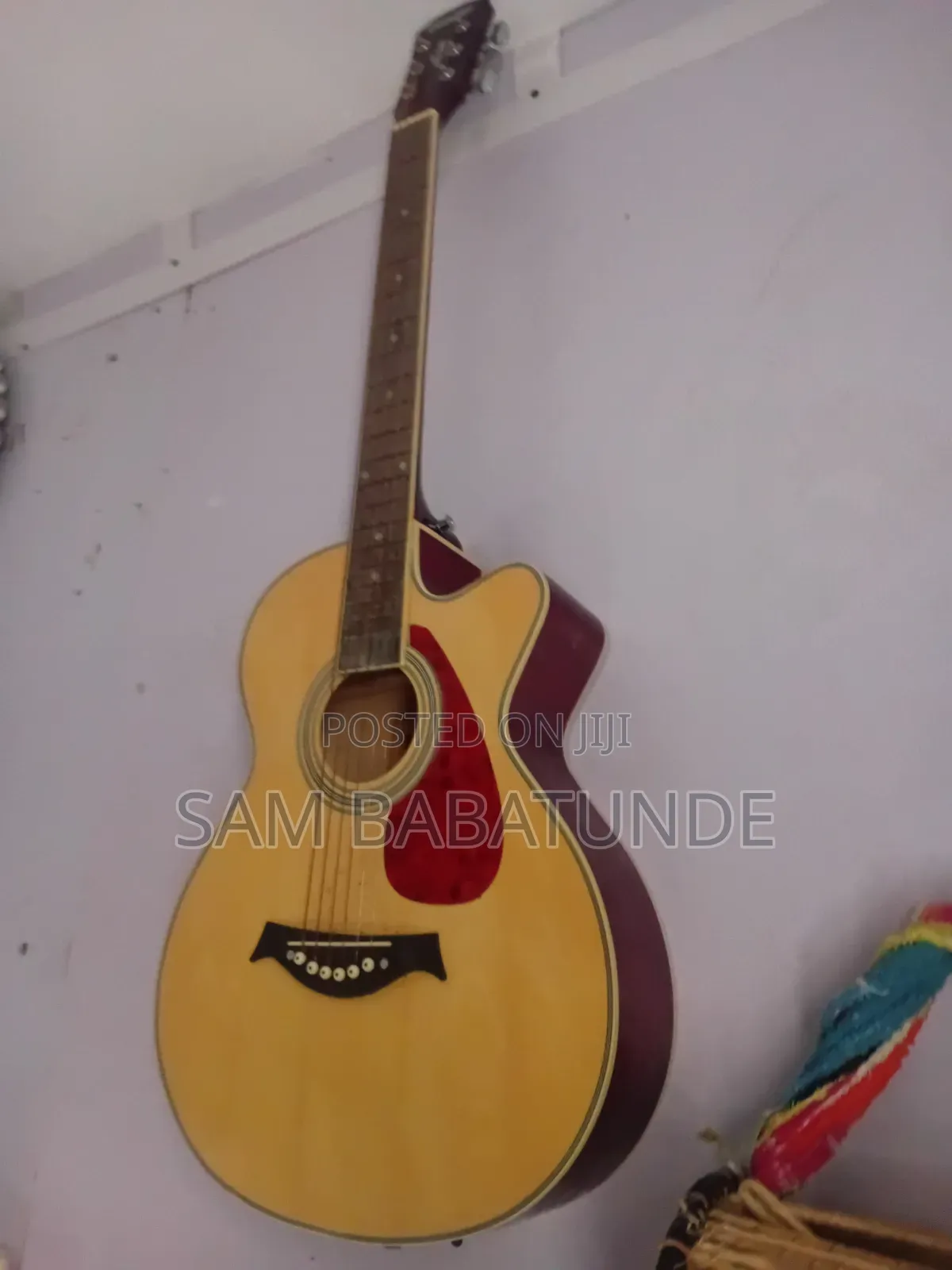 Guitar for Bigginer