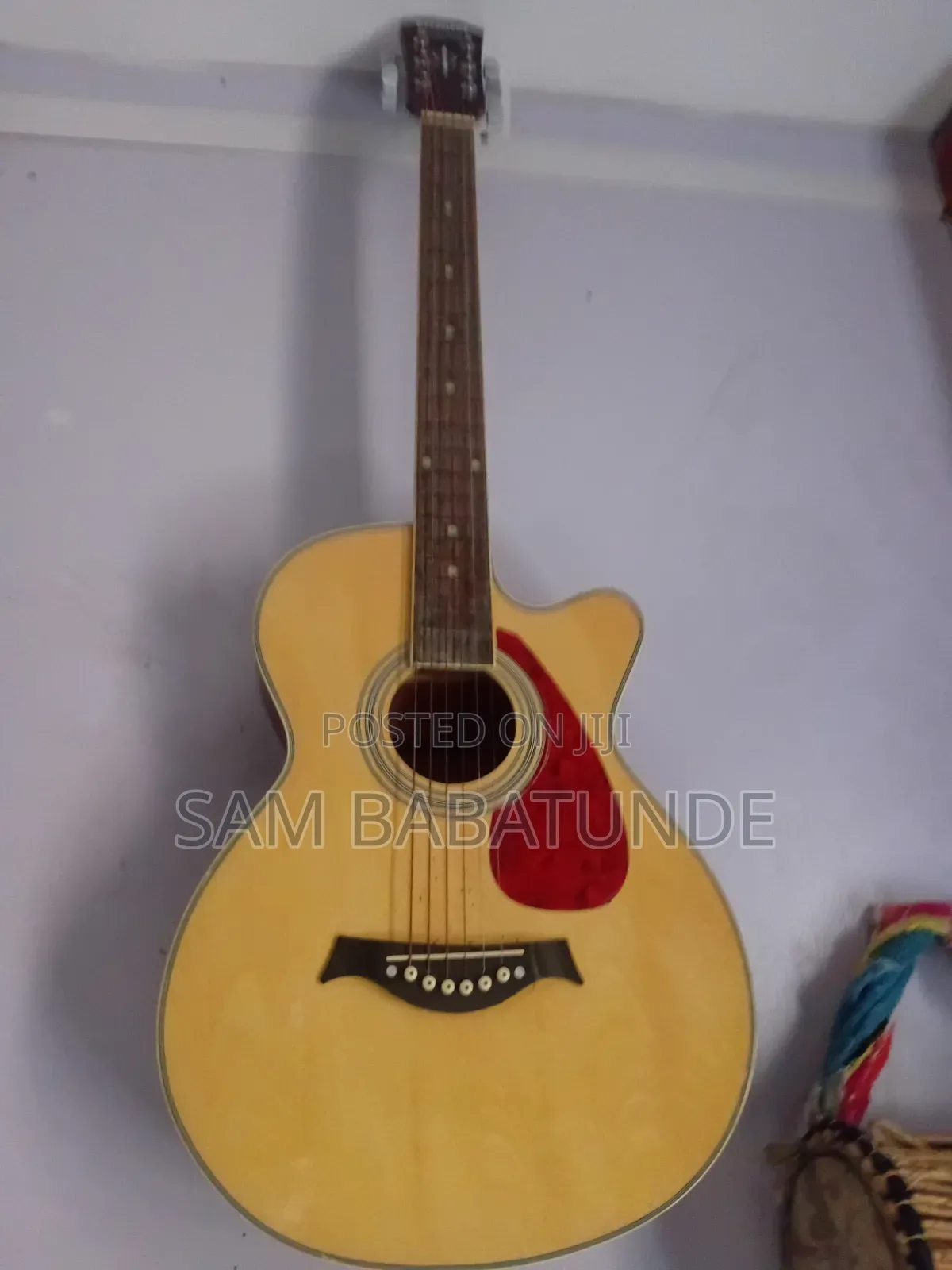 Guitar for Bigginer