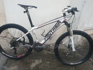Bicycle Mauntian Carbon