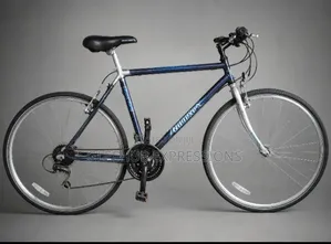 Adult Bicycles