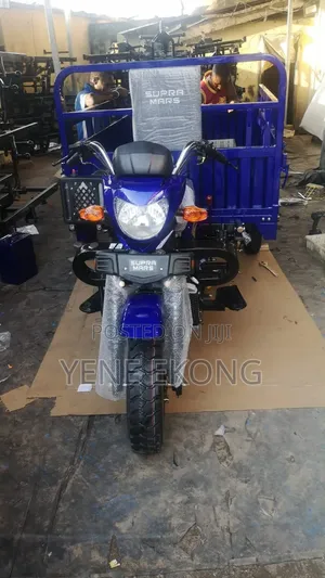 New Tricycle 2026 Blue