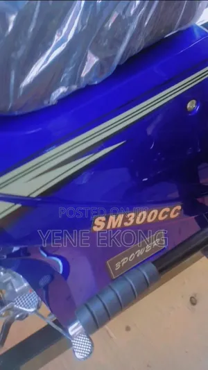 New Tricycle 2026 Blue