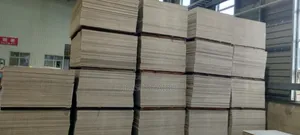 Ceiling Boards