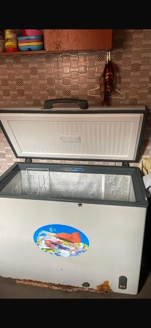 Freezer 175 Liter