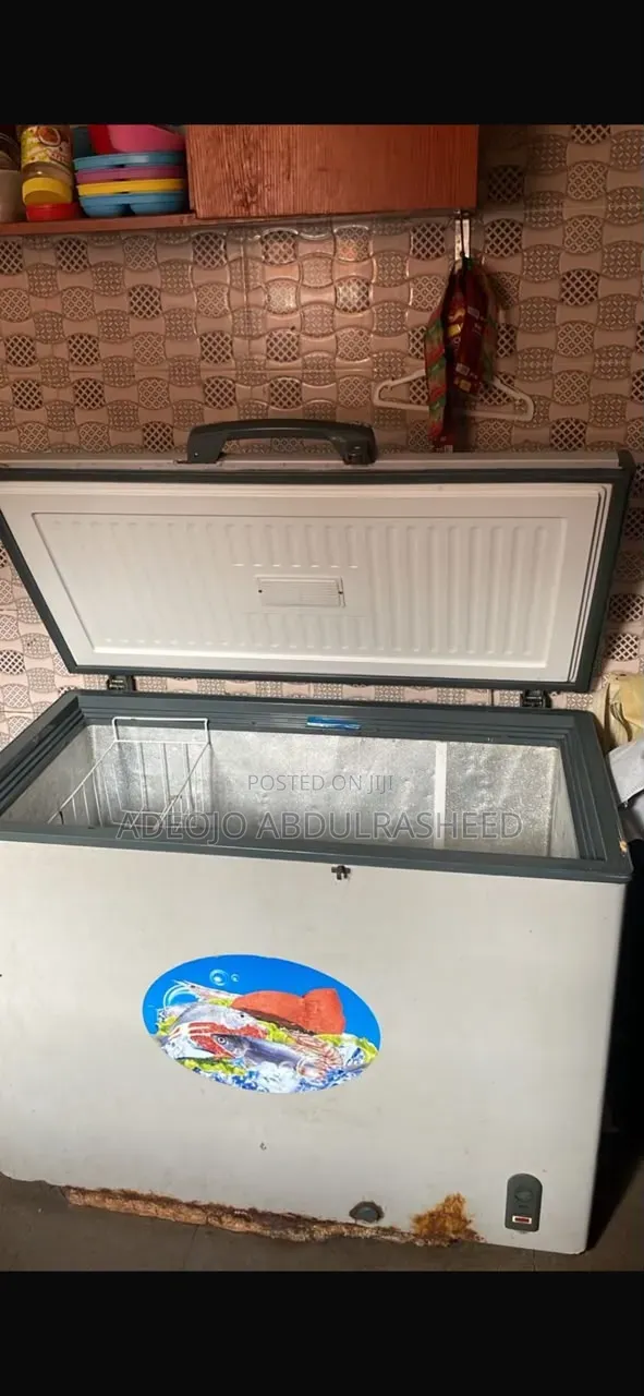 Freezer 175 Liter