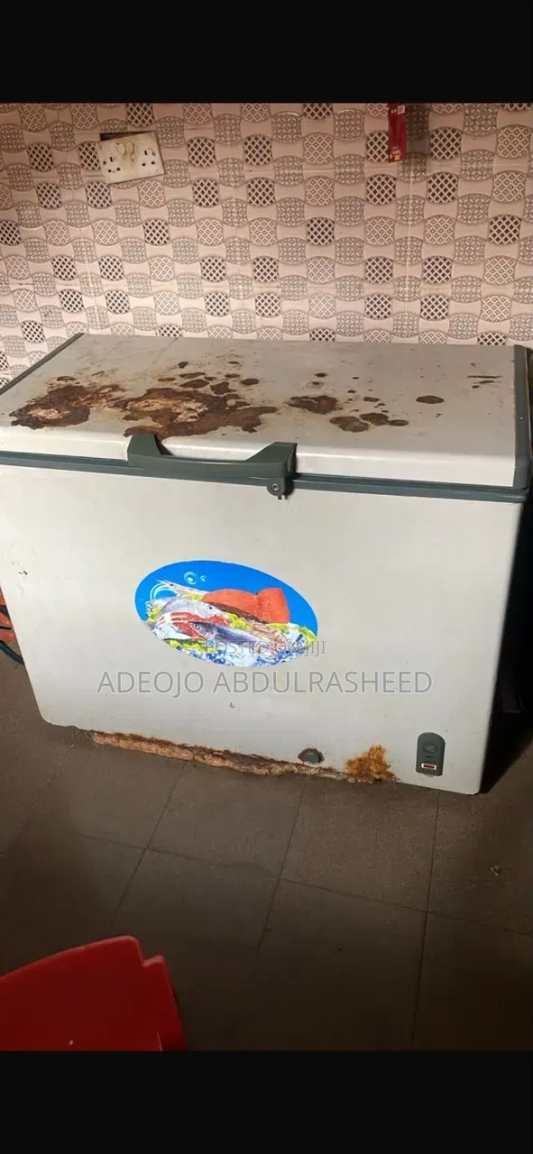 Freezer 175 Liter
