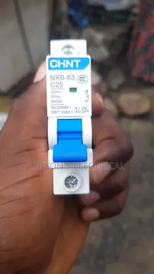 125amps Breaker 2pole Chint