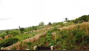 2 Plots of Fenced Land With CofO at Umunya for Sell