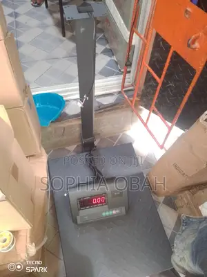 500kg A12 Digital Platform Scale