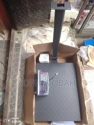 300kg Digital Platform Scale