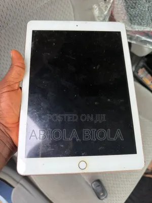 Apple iPad Pro 11 (2018) 256 GB Pink