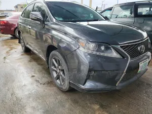 Lexus RX 2010 Gray