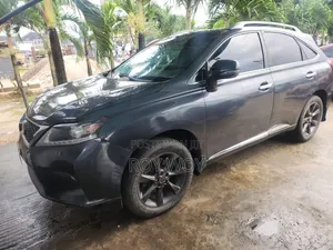 Lexus RX 2010 Gray
