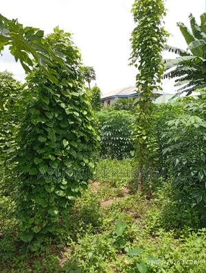 2 Plots of Gated Land