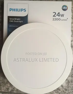 Philips 24w Smart Bright Surface Light