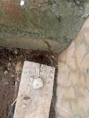 Termite Treatment