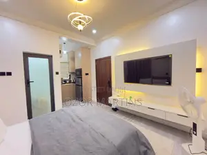 Furnished Studio Apartment in Wuye for rent