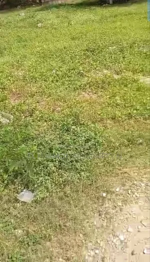 Super Scarce Hot 4 Acres of Land With C of O